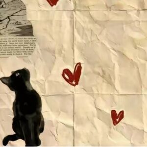 Meet your Posher, Paige